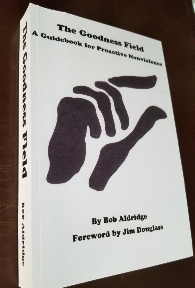 The Goodness Field book cover